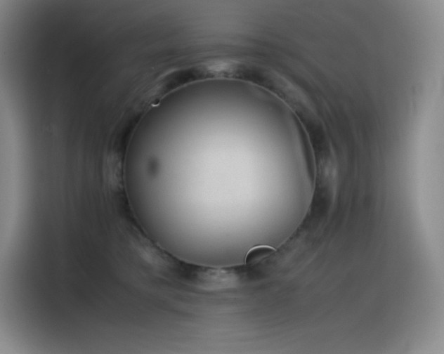 X0000116100421200911231129