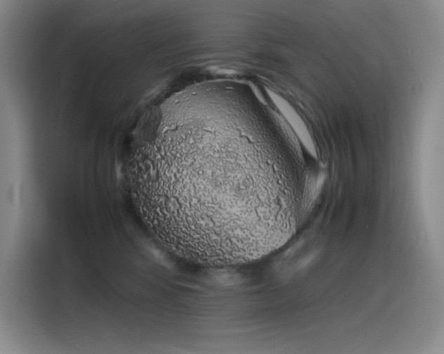 X0000116100424200911231129