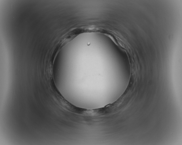 X0000116100425200911231129