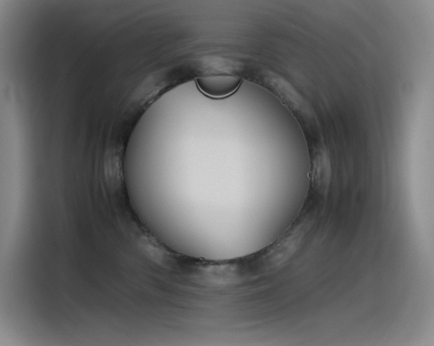 X0000116100426200911231129