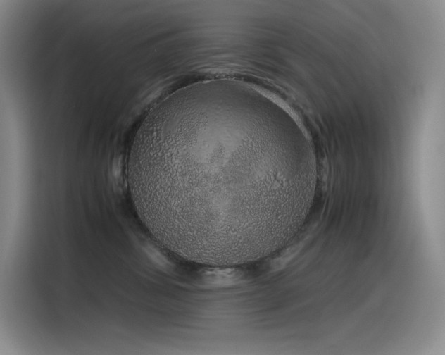 X0000116100428200911231129