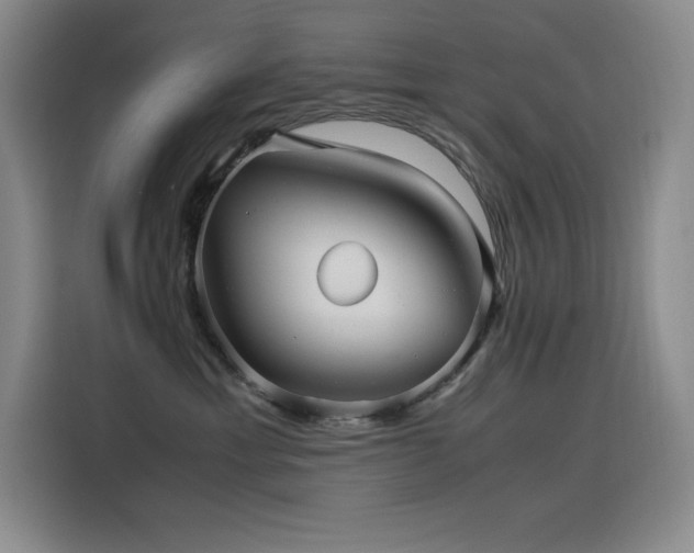 X0000116100429200911231129