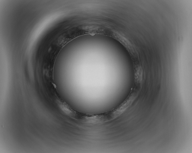 X0000116100430200911231129