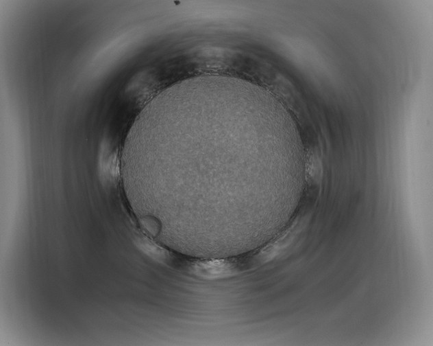 X0000116100431200911231129