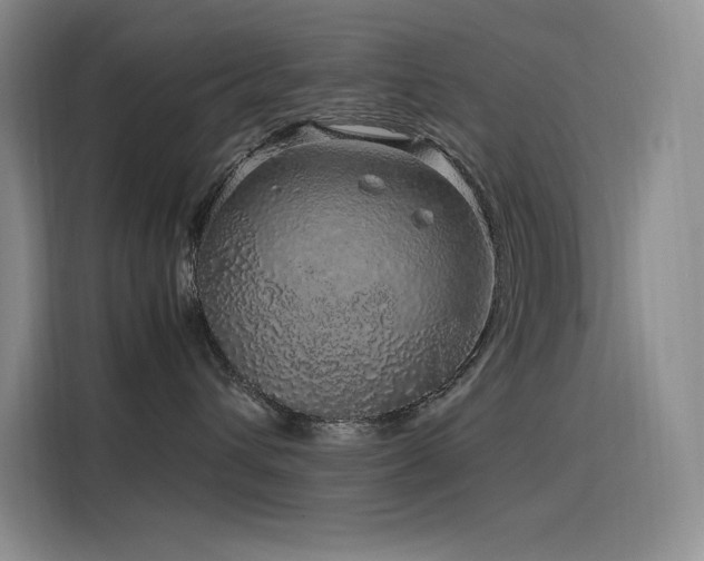 X0000116100432200911231129