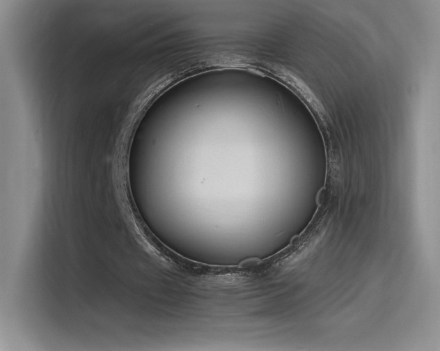 X0000116100433200911231128
