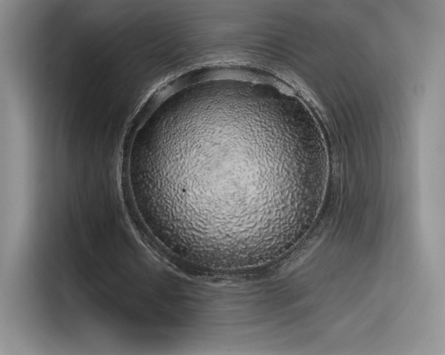 X0000116100434200911231128