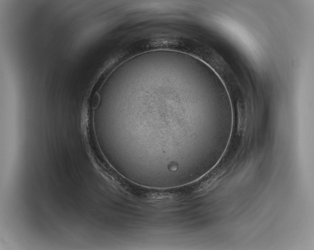 X0000116100435200911231128