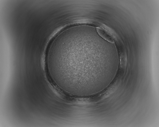 X0000116100436200911231128