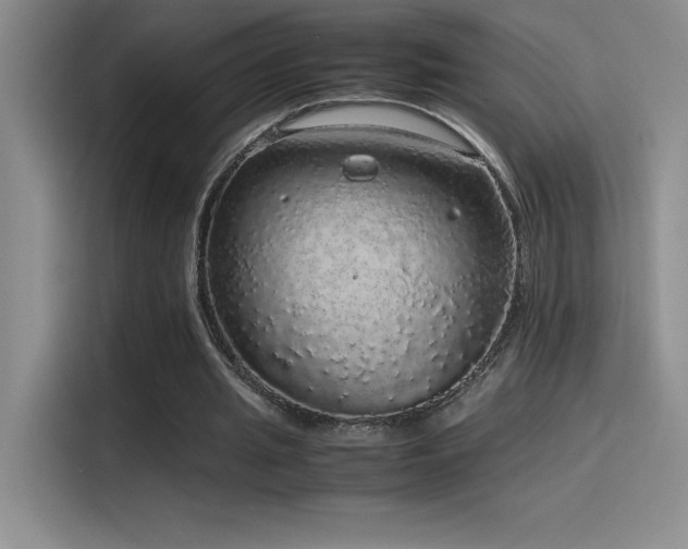 X0000116100437200911231128