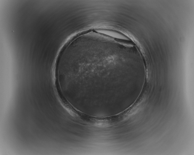 X0000116100438200911231128