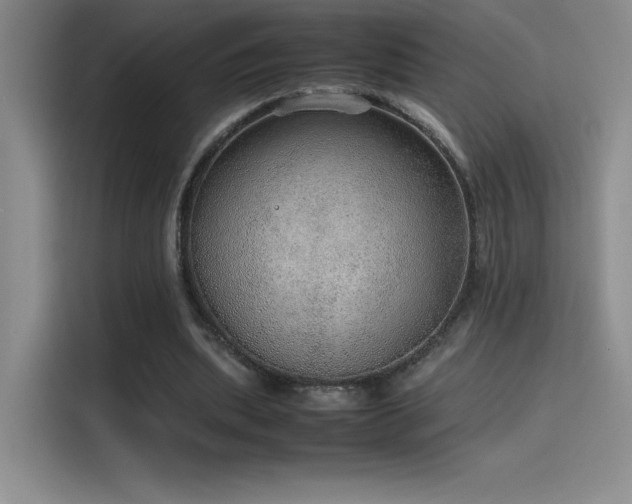 X0000116100439200911231128