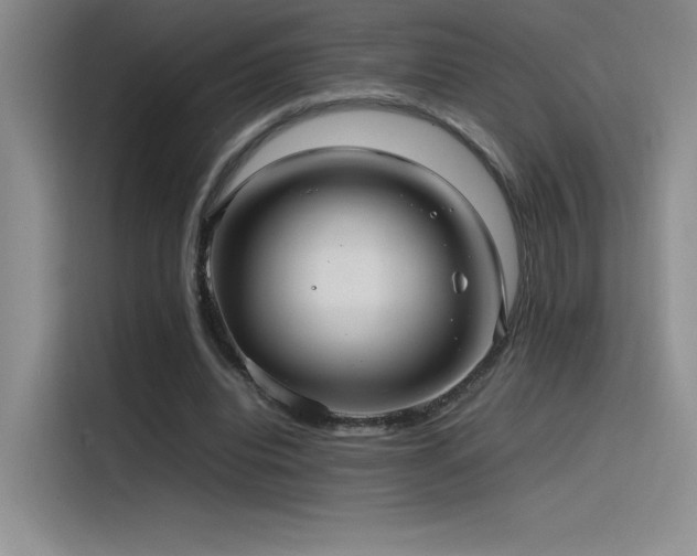 X0000116100440200911231129