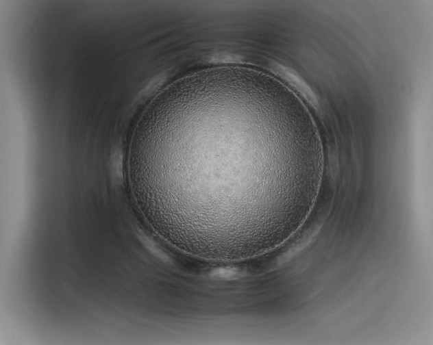 X0000116100441200911231129
