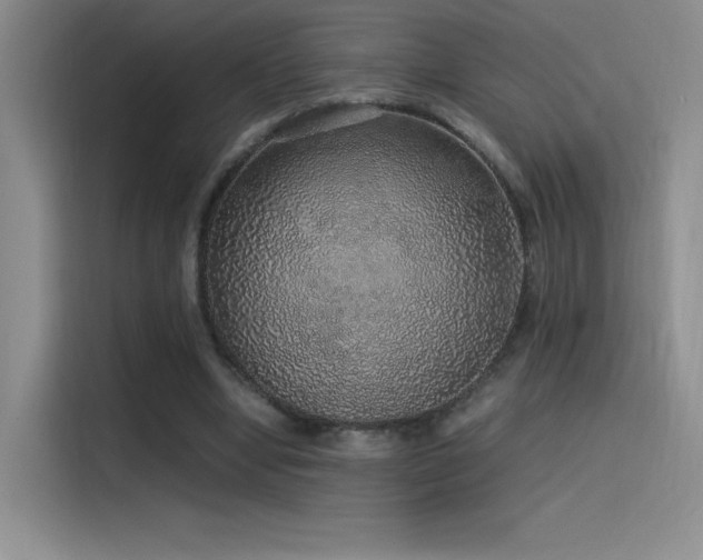 X0000116100442200911231129