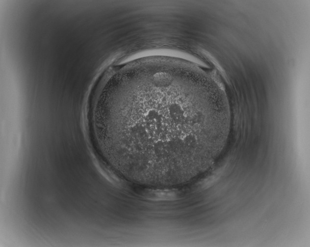 X0000116100443200911231129