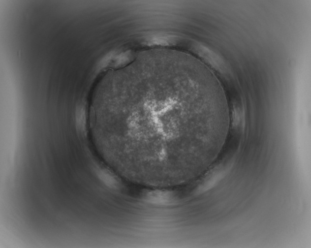 X0000116100444200911231129
