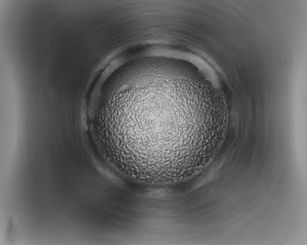 X0000116100446200911231129