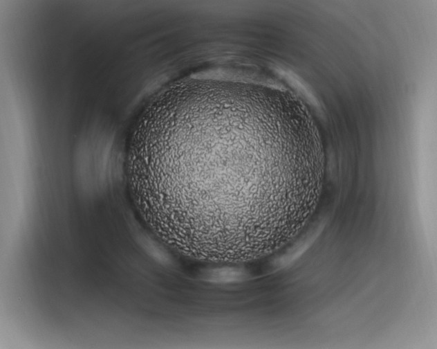 X0000116100449200911231129
