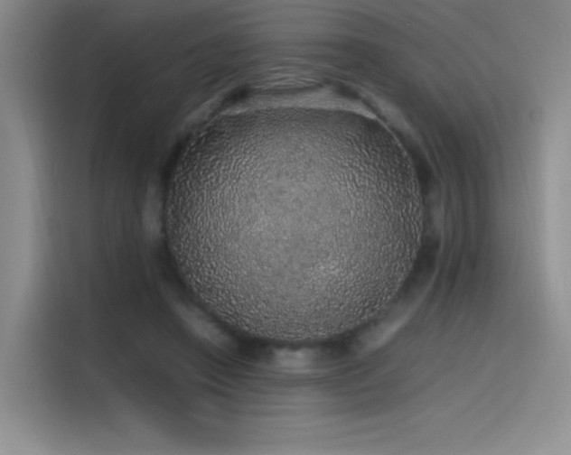 X0000116100450200911231129