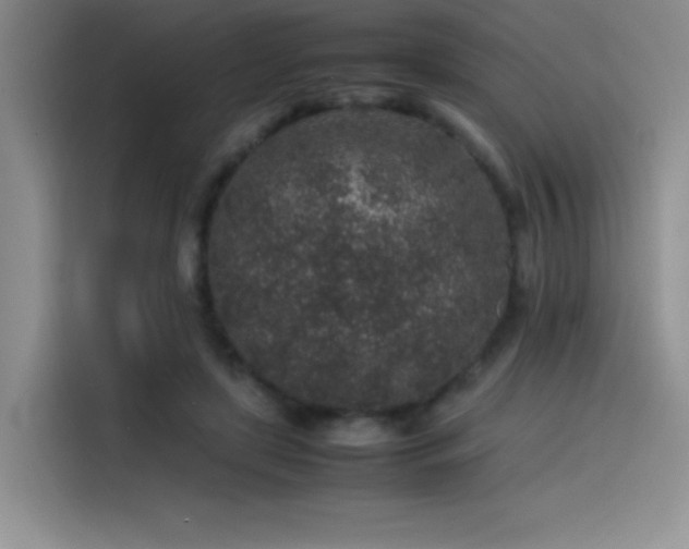 X0000116100451200911231129
