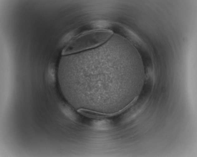 X0000116100452200911231129