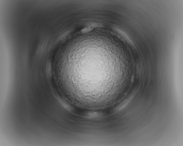 X0000116100453200911231129