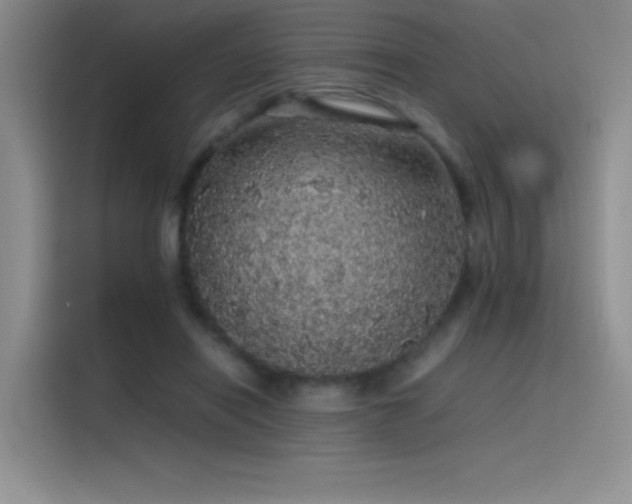 X0000116100454200911231129