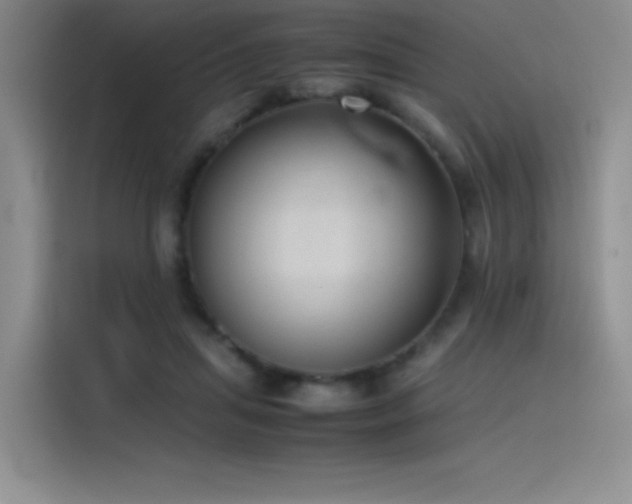 X0000116100455200911231129