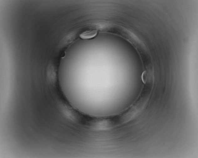 X0000116100456200911231129