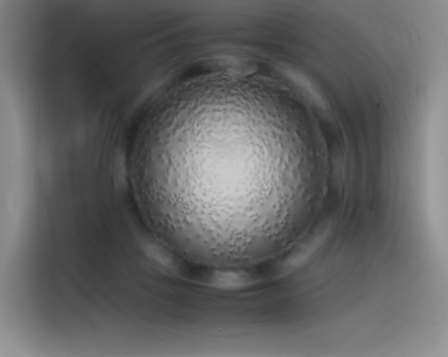 X0000116100457200911231129