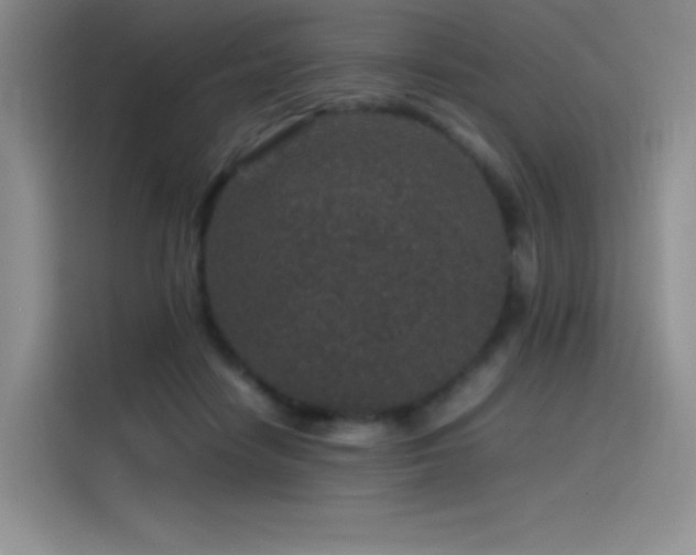 X0000116100458200911231129