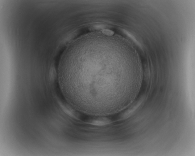 X0000116100459200911231129