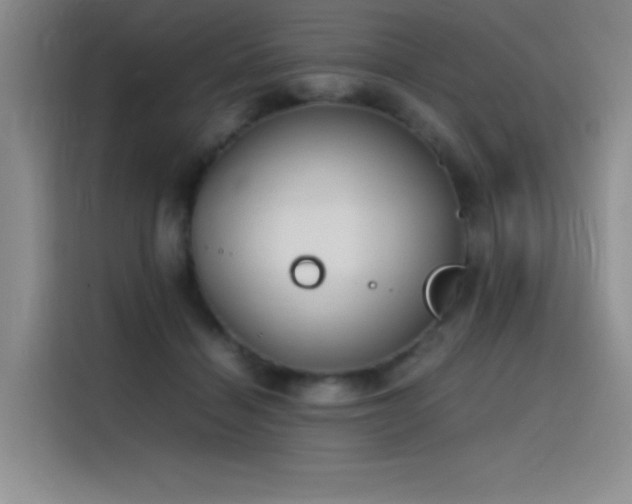 X0000116100460200911231129