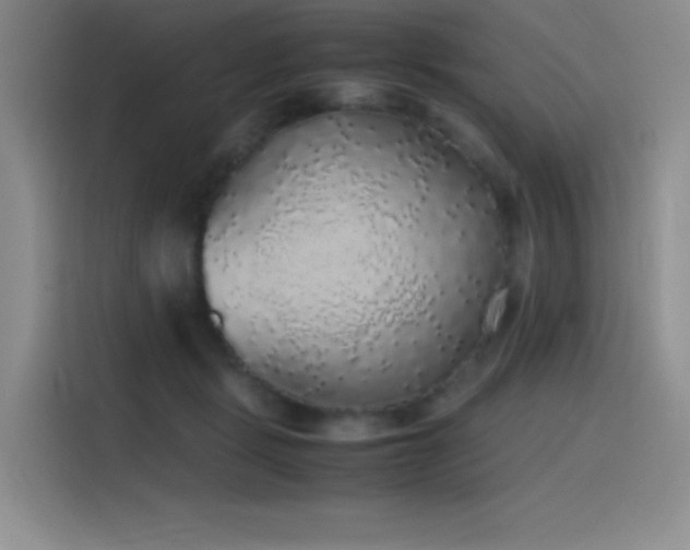 X0000116100461200911231129