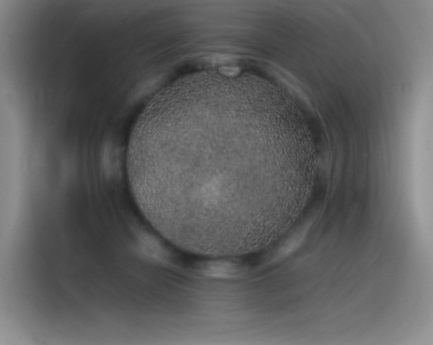 X0000116100462200911231129
