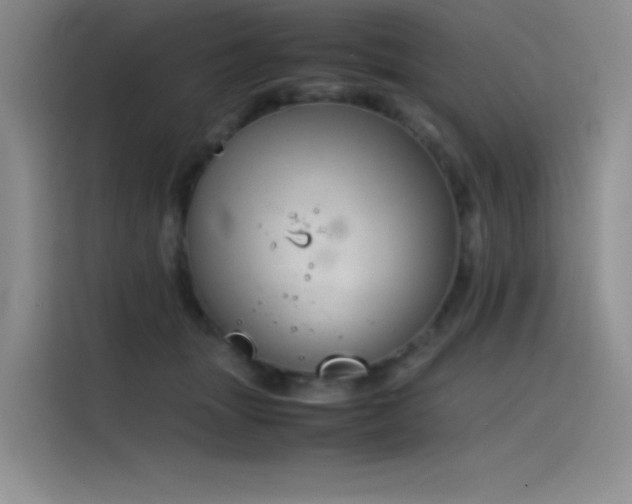 X0000116100463200911231129