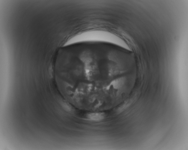 X0000116100465200911231129
