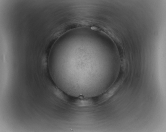 X0000116100466200911231129