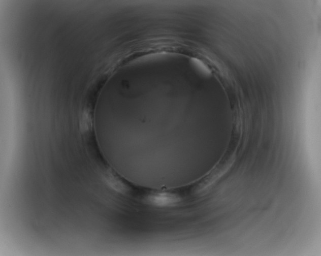 X0000116100467200911231129