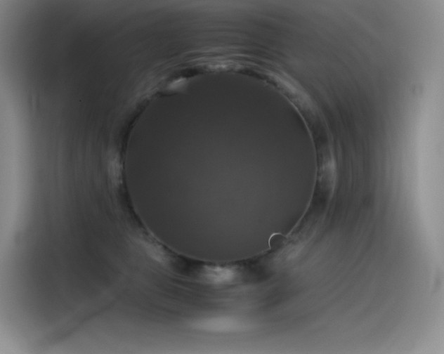 X0000116100469200911231129