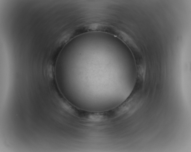 X0000116100470200911231129