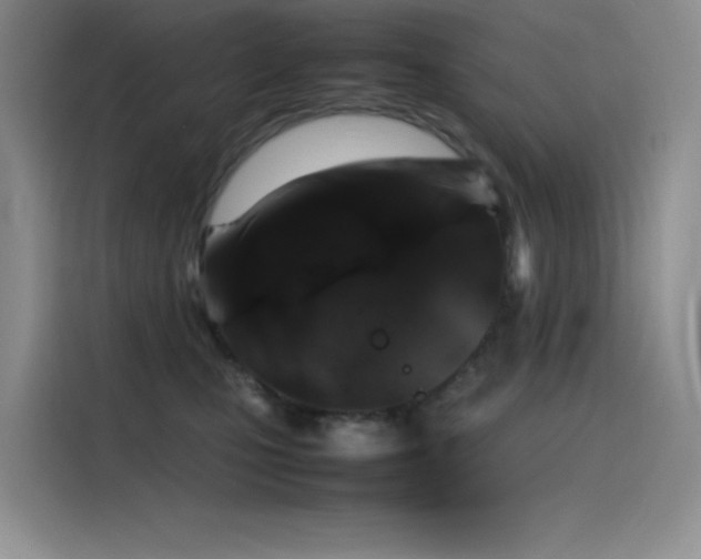 X0000116100471200911231129