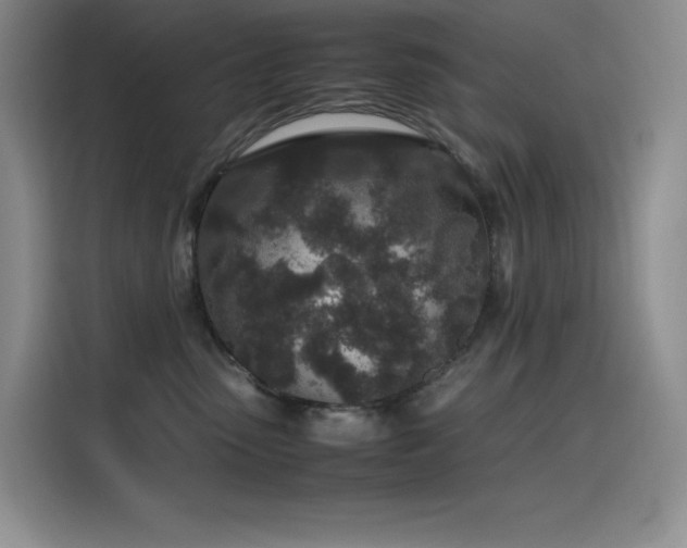 X0000116100475200911231129