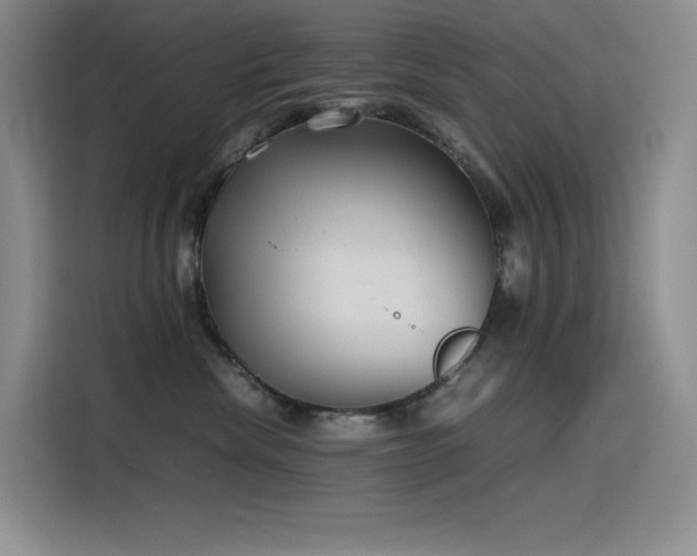 X0000116100476200911231129