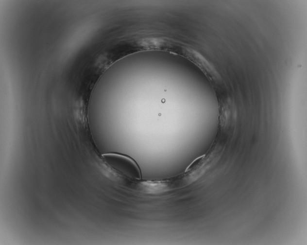 X0000116100477200911231129