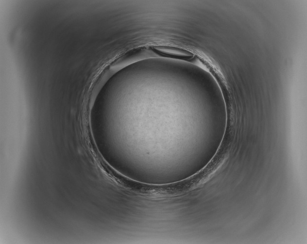 X0000116100481200911231128