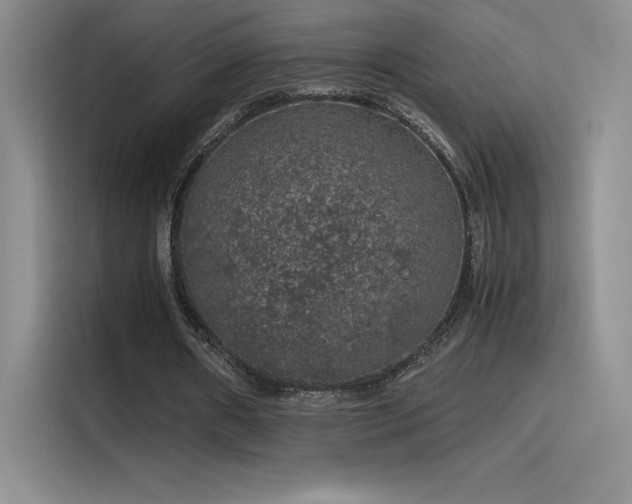 X0000116100482200911231128