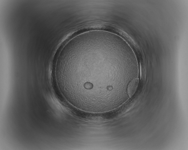 X0000116100483200911231128