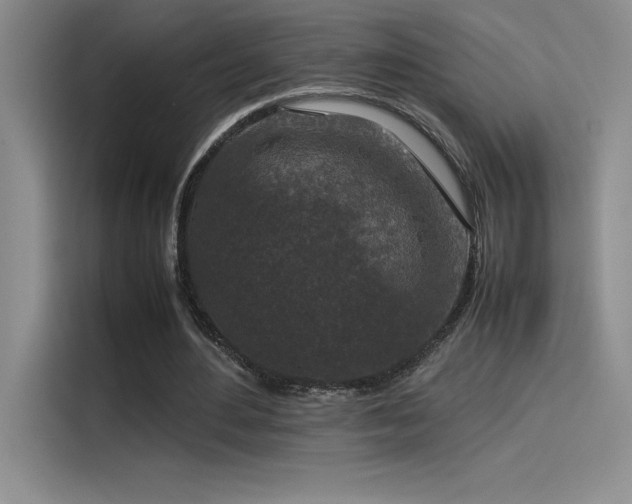X0000116100484200911231128